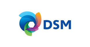 DSM
