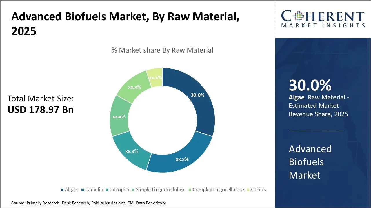 Advanced Biofuel Market By Raw Material Type