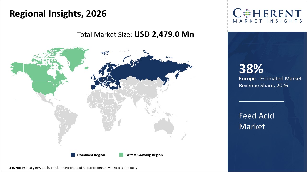 Feed Acid Market Regional Insights