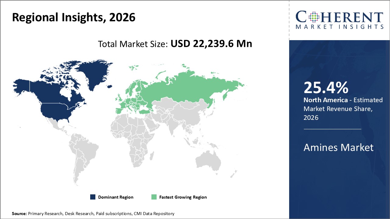 Amines Market Regional Insights