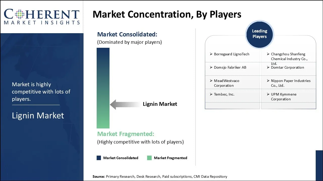 Lignin Market Concentration By Players