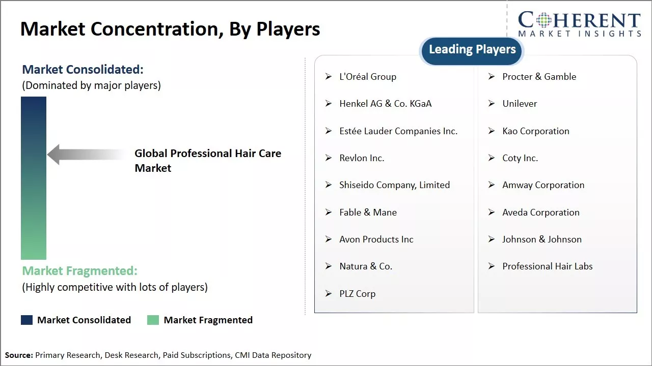 Professional Hair Care Market Concentration By Players